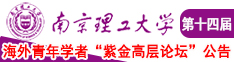 插干色南京理工大学第十四届海外青年学者紫金论坛诚邀海内外英才！